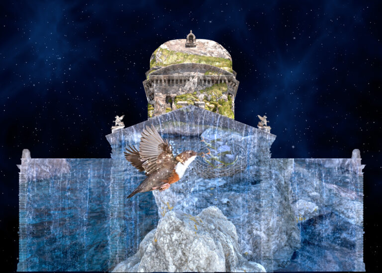 rvb24-3-Volare-Wasseramsel