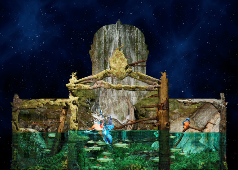 rvb24-4-Volare-Eisvogel